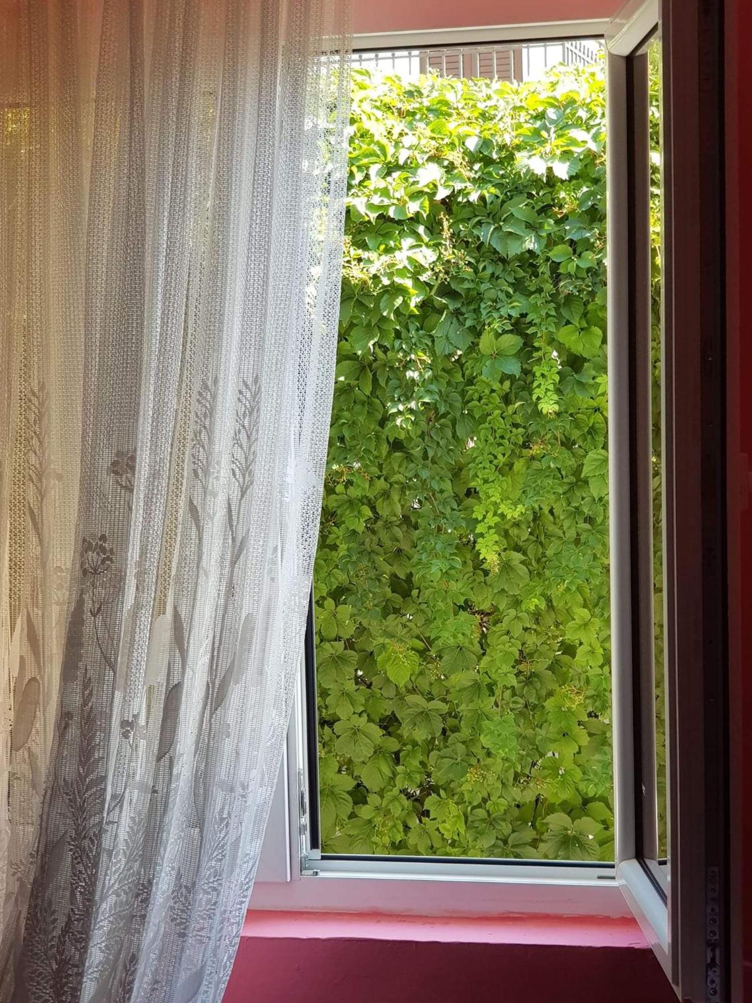 Montenegro Apartmant'S Котор Номер фото